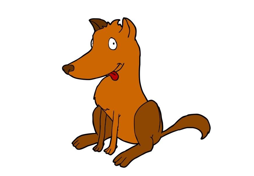 cane immagine cane