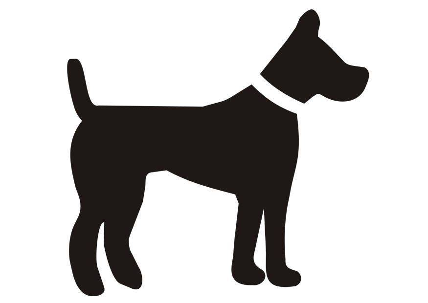 cane Disegno da colorare cane