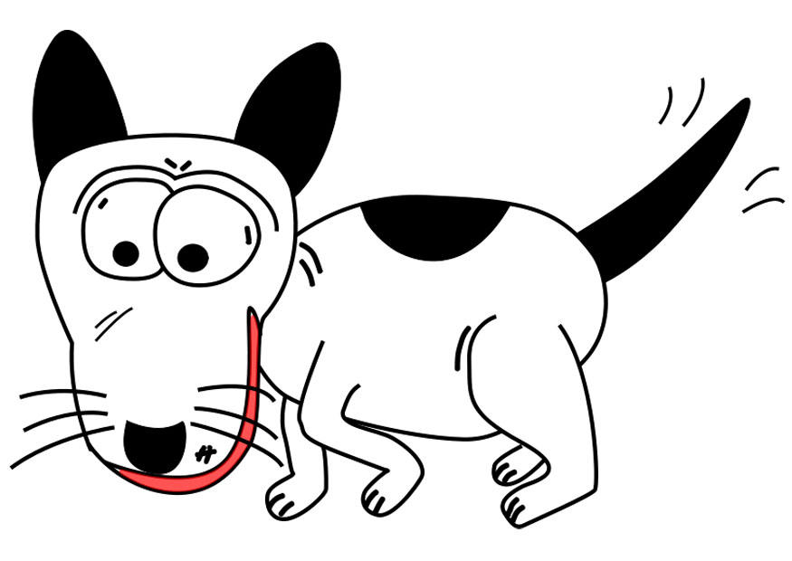 cane immagine cane