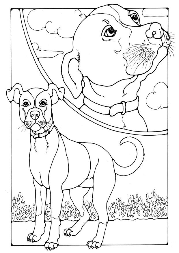 cane Disegno da colorare cane