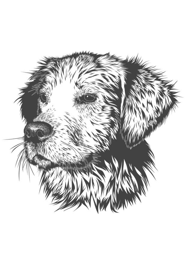 cane Disegno da colorare cane