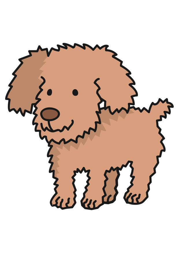 cane immagine cane