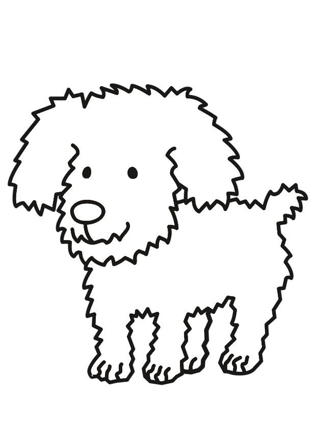 cane Disegno da colorare cane
