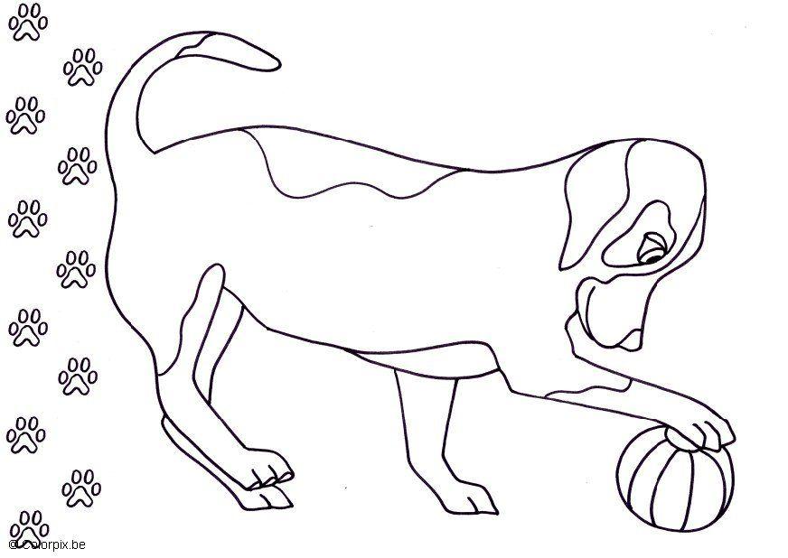 cane Disegno da colorare cane