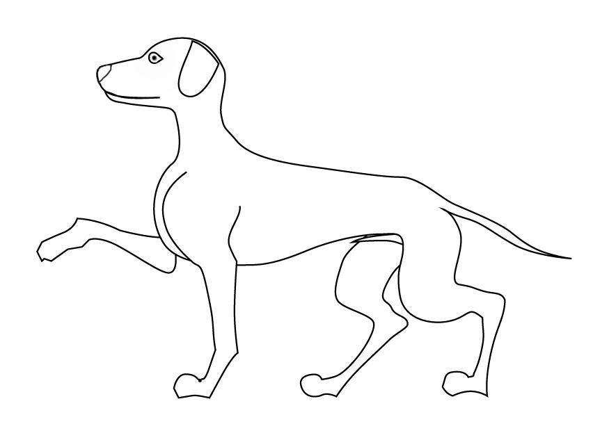 cane Disegno da colorare cane