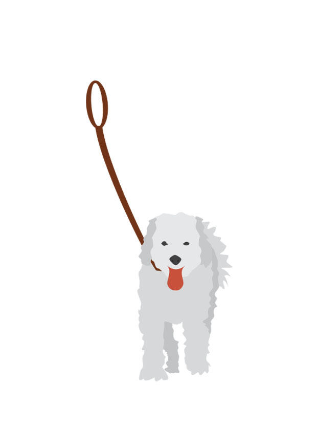 cane al guinzaglio immagine cane al guinzaglio