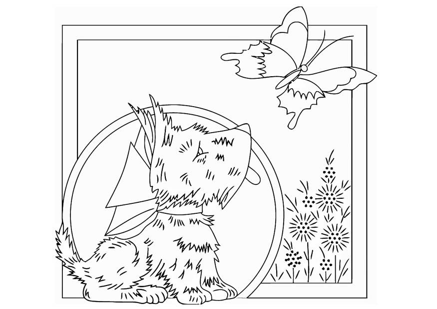 cane con farfalla Disegno da colorare cane con farfalla