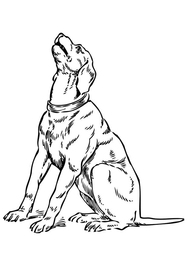 cane piangente Disegno da colorare cane piangente