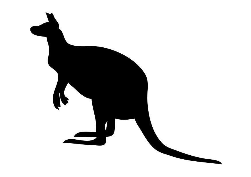 canguro Disegno da colorare canguro
