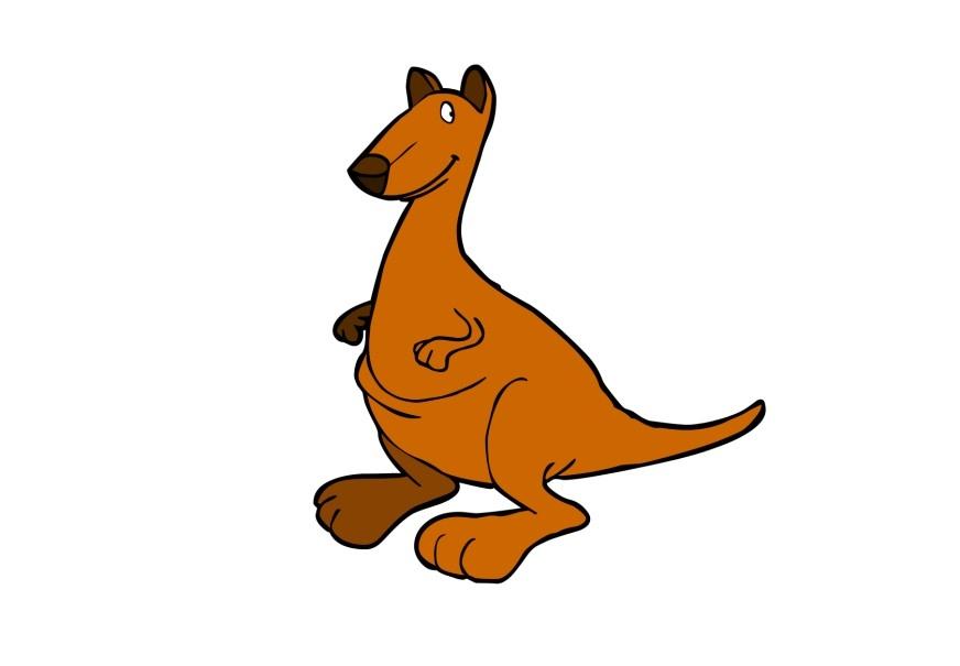 canguro immagine canguro