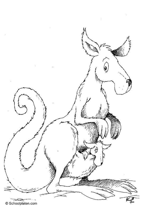 canguro Disegno da colorare canguro