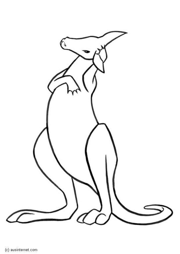 canguro Disegno da colorare canguro