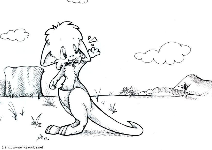 canguro Disegno da colorare canguro