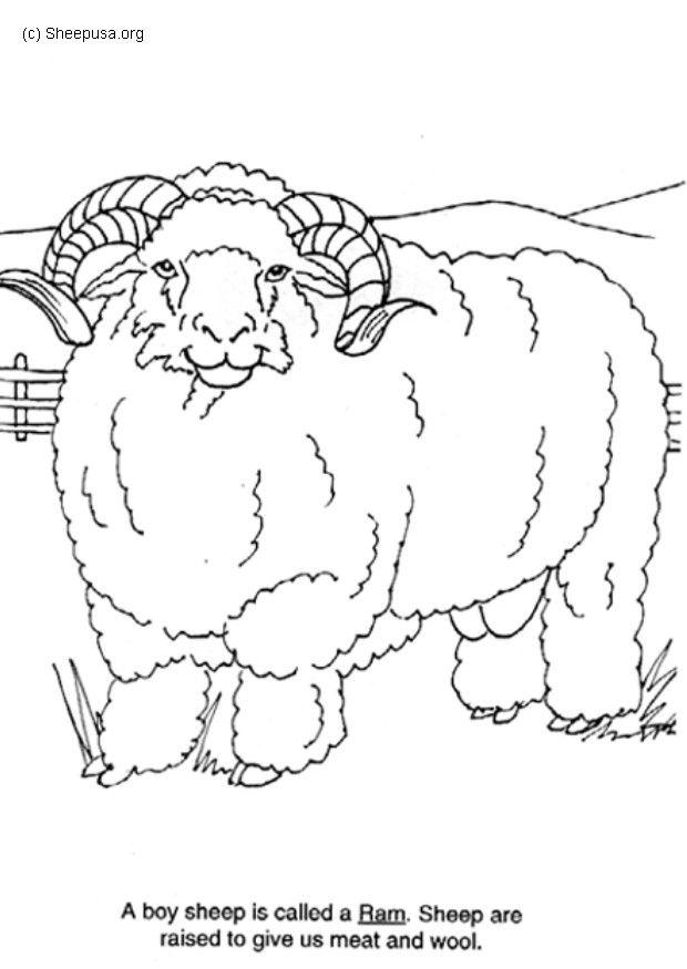 capricorno Disegno da colorare capricorno