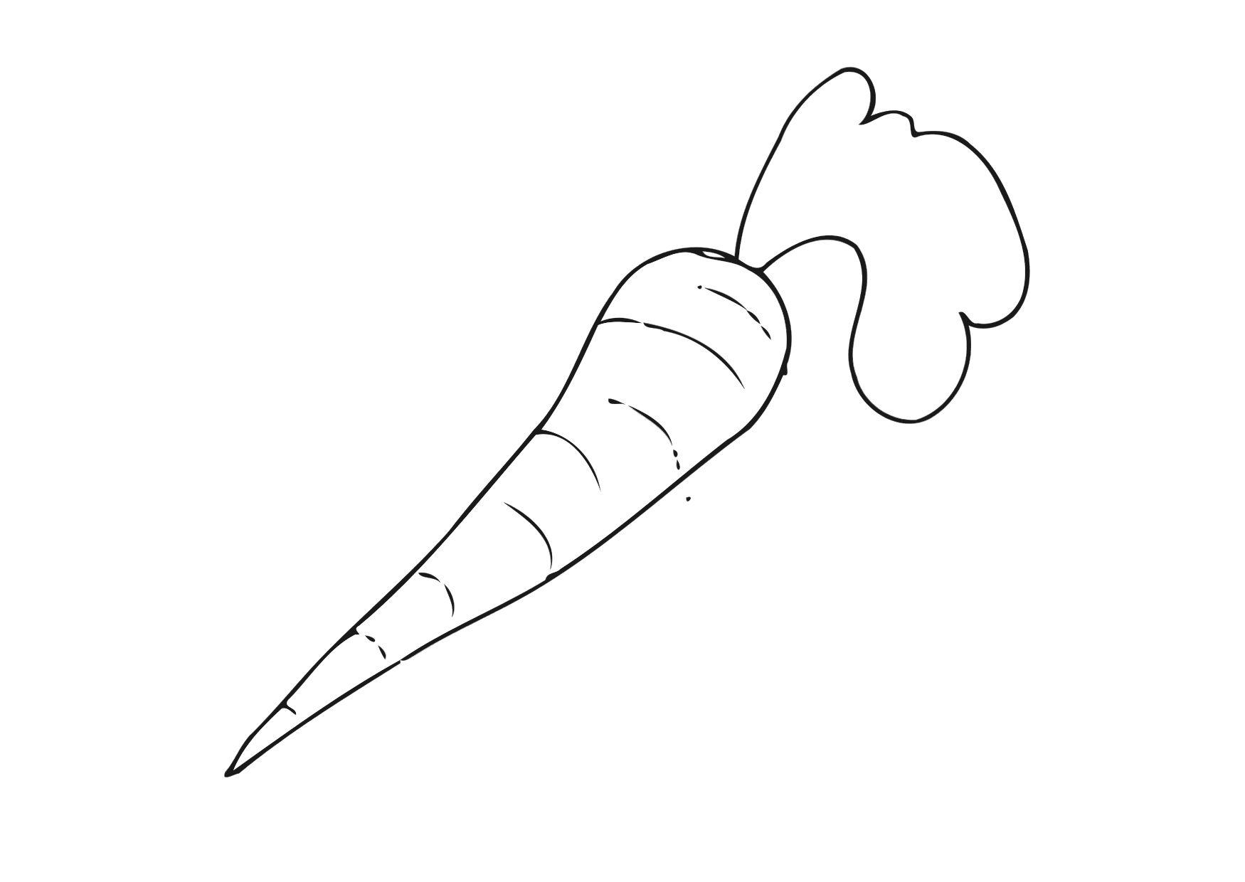 carota Disegno da colorare carota