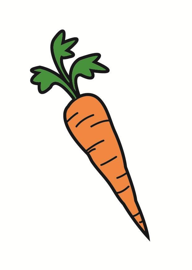 carota immagine carota