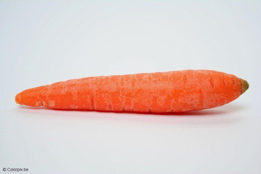 carota Foto carota