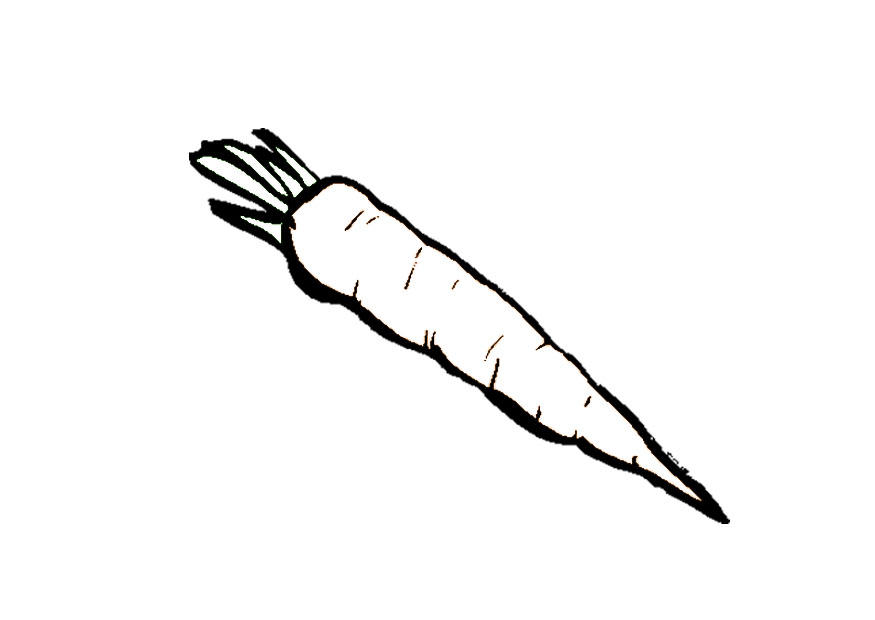 carota Disegno da colorare carota