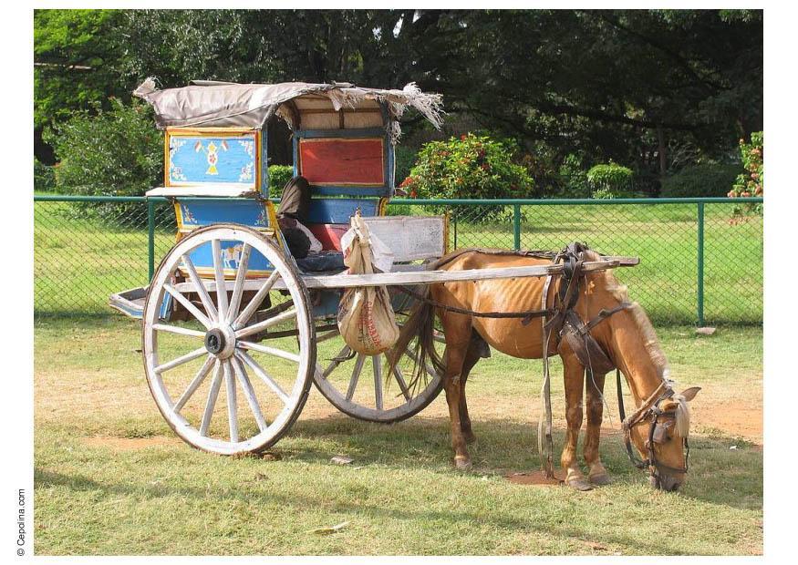 carrozza Foto carrozza