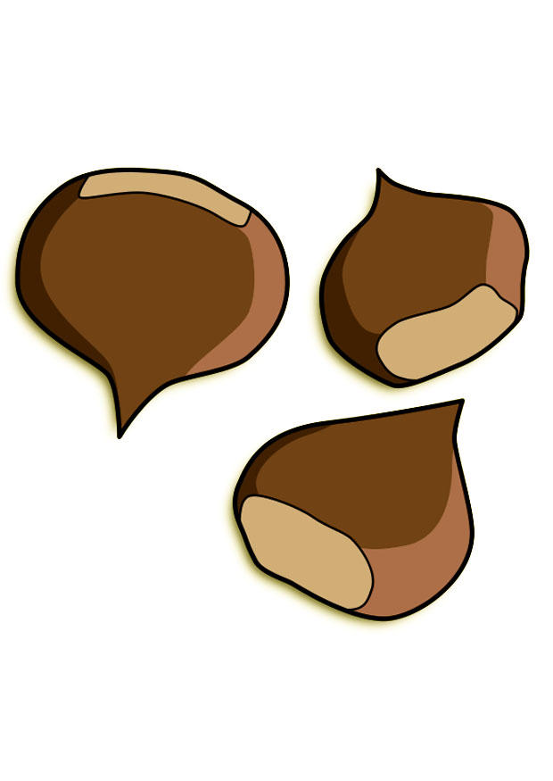 castagne immagine castagne