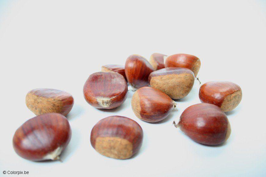 castagne Foto castagne