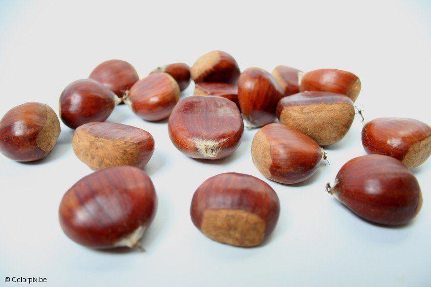 castagne Foto castagne