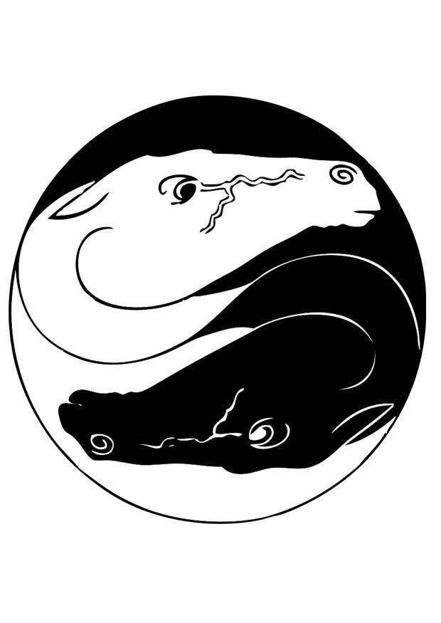 cavalli ying e yang Disegno da colorare cavalli ying e yang