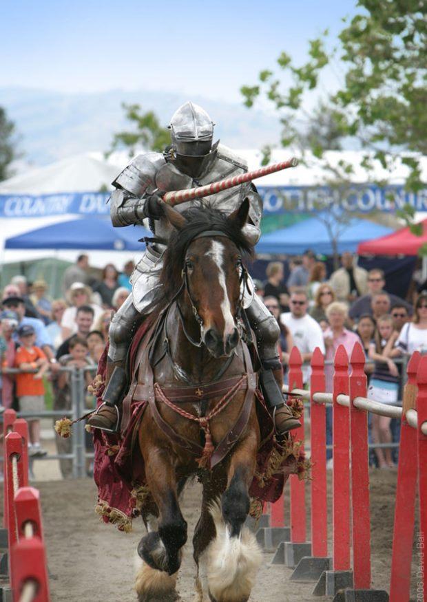 cavalliere durante un torneo Foto cavalliere durante un torneo