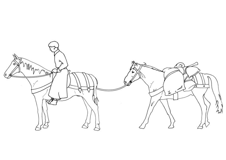 Disegno da colorare cavalliere e bagaglio