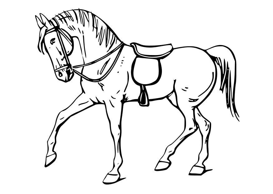 cavallo Disegno da colorare cavallo