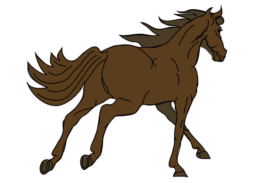 cavallo immagine cavallo