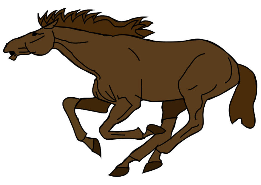 cavallo immagine cavallo