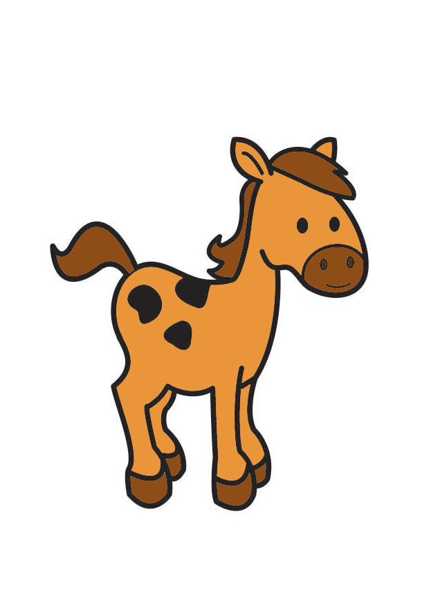 cavallo immagine cavallo
