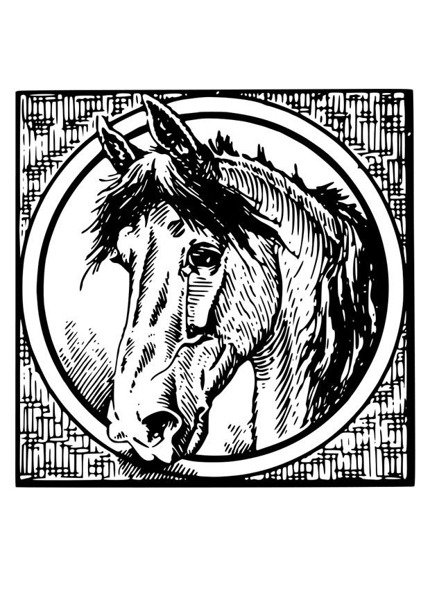 cavallo Disegno da colorare cavallo