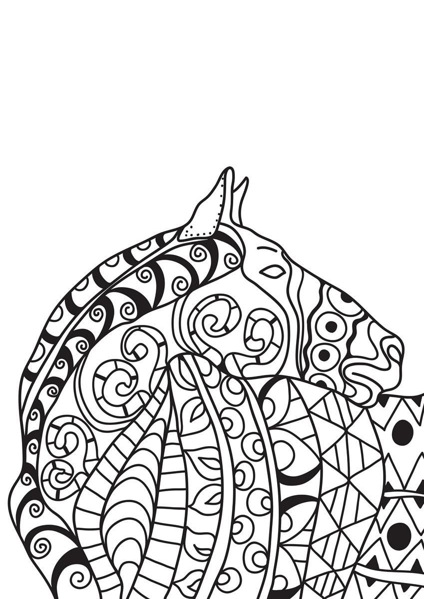 cavallo Disegno da colorare cavallo