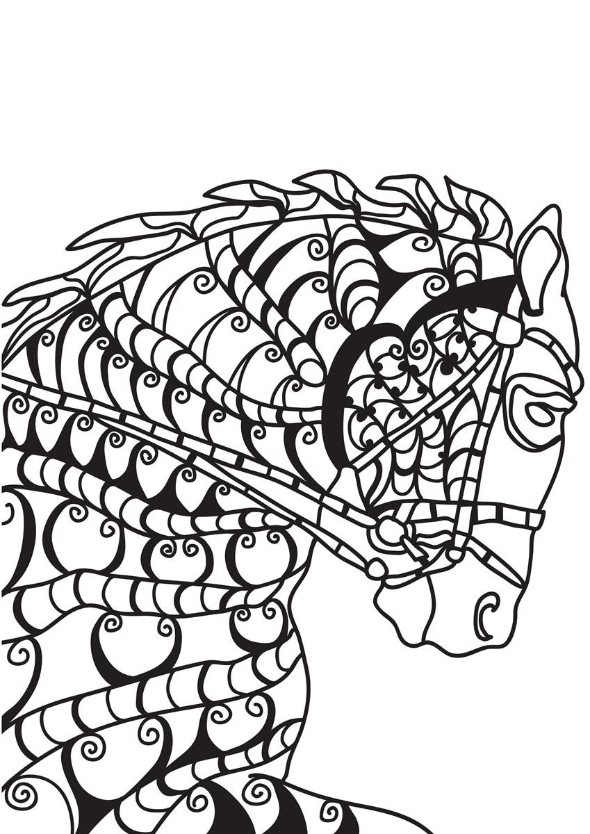 cavallo Disegno da colorare cavallo