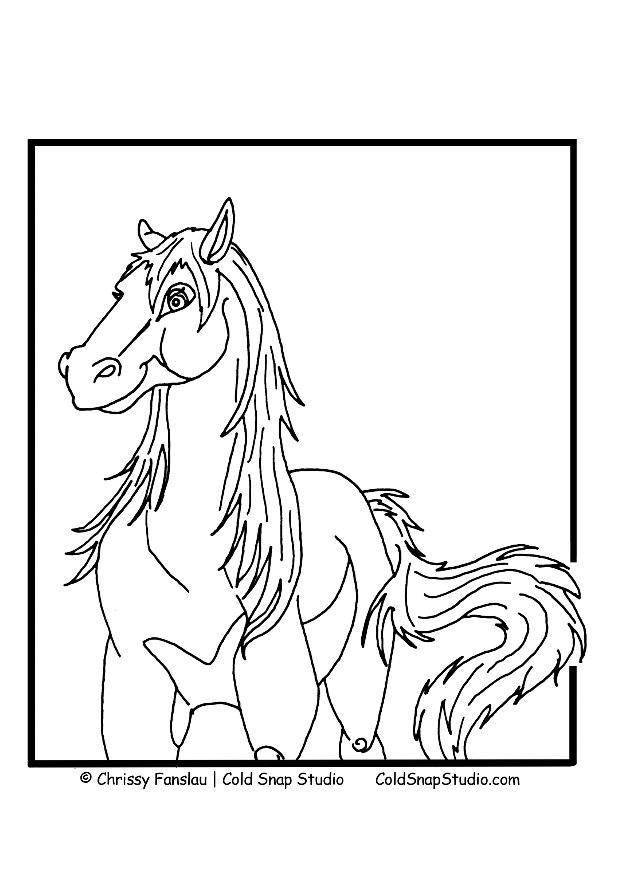 cavallo Disegno da colorare cavallo