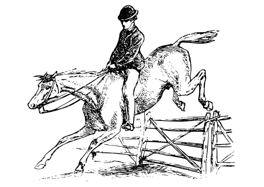 cavallo con cavallerizzo Disegno da colorare cavallo con cavallerizzo
