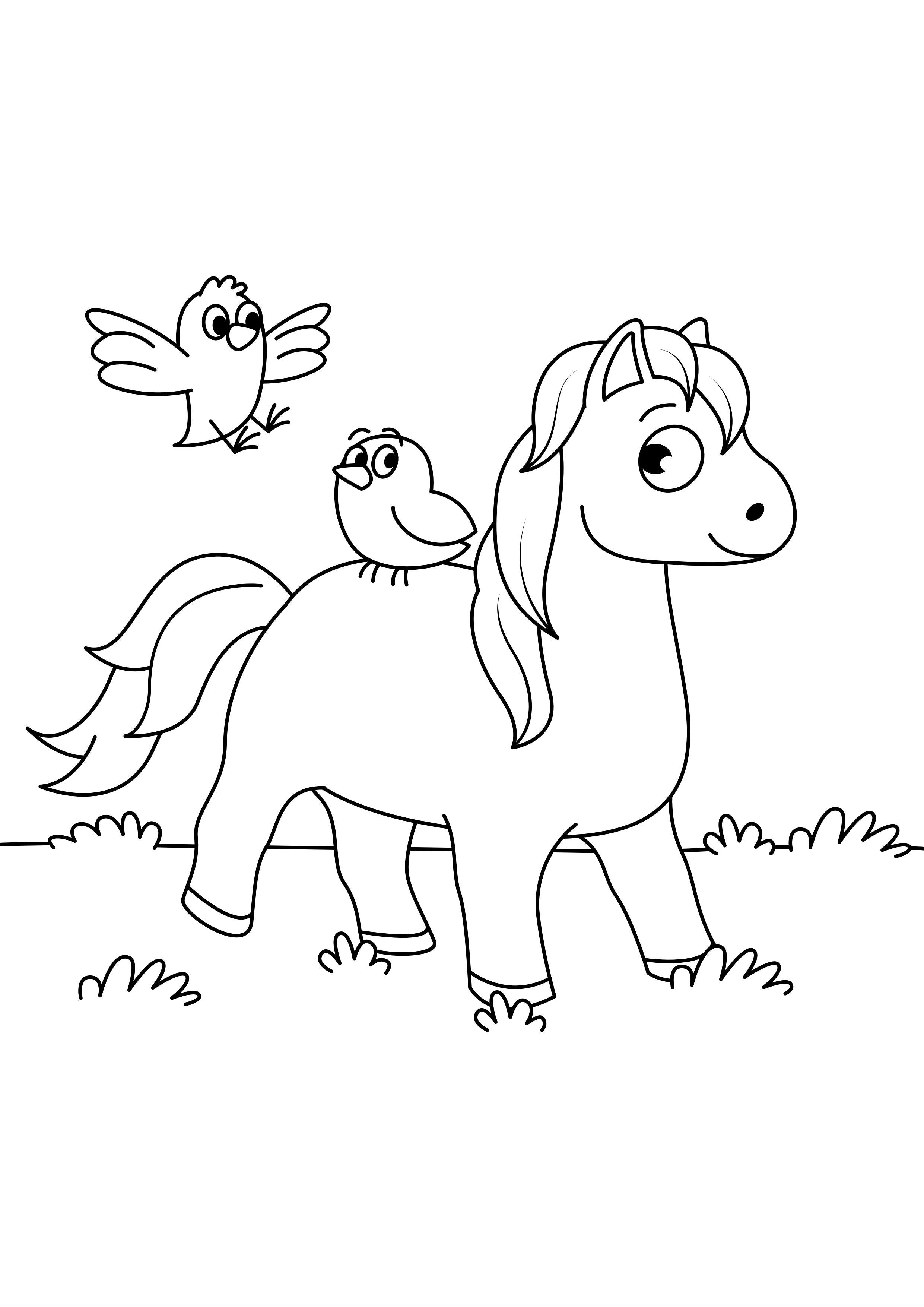 cavallo con gli uccelli Disegno da colorare cavallo con gli uccelli