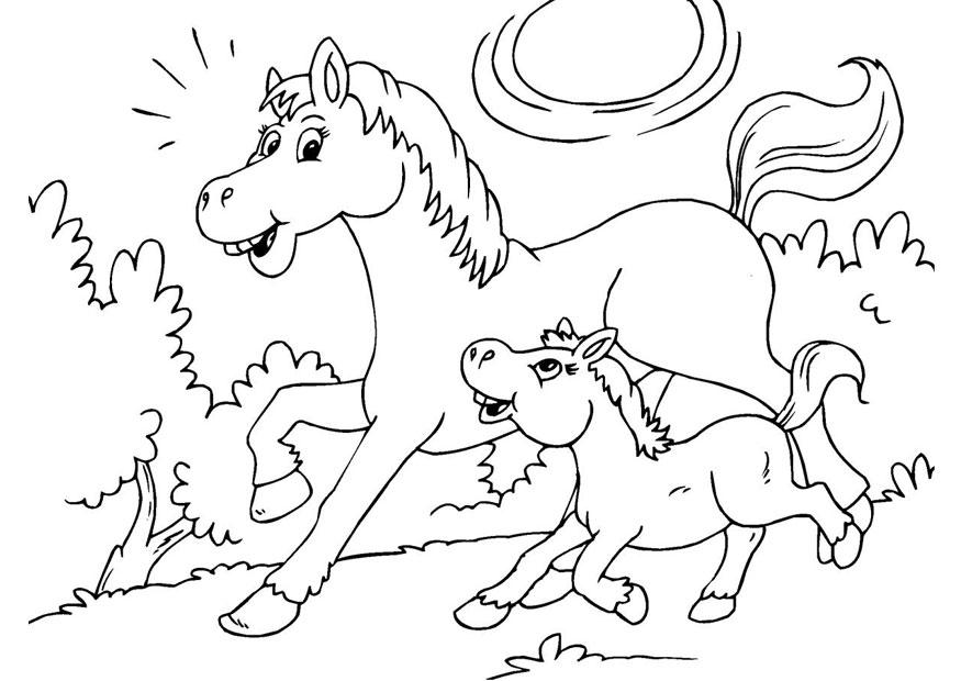 cavallo e puledro Disegno da colorare cavallo e puledro