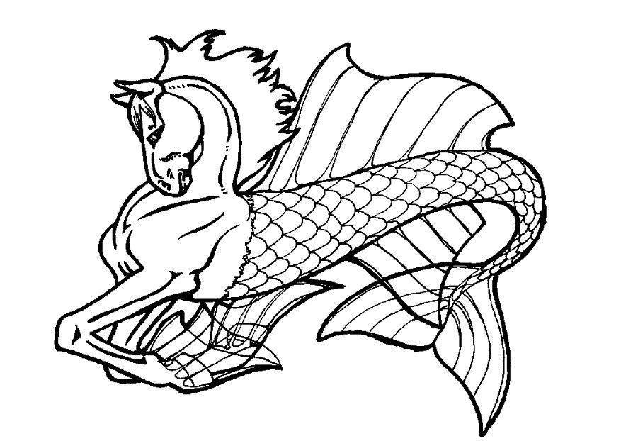 cavallo marino Disegno da colorare cavallo marino