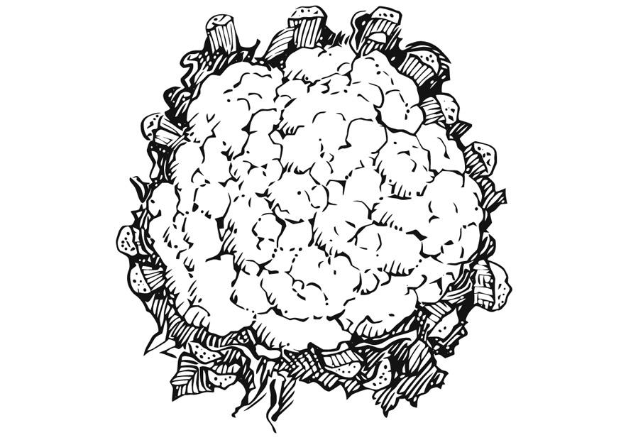 cavolfiore Disegno da colorare cavolfiore