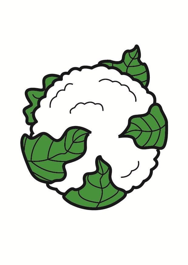 cavolfiore immagine cavolfiore