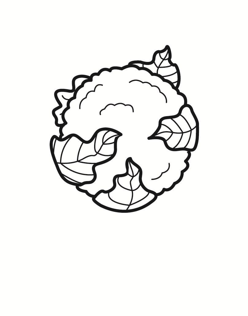 cavolfiore Disegno da colorare cavolfiore