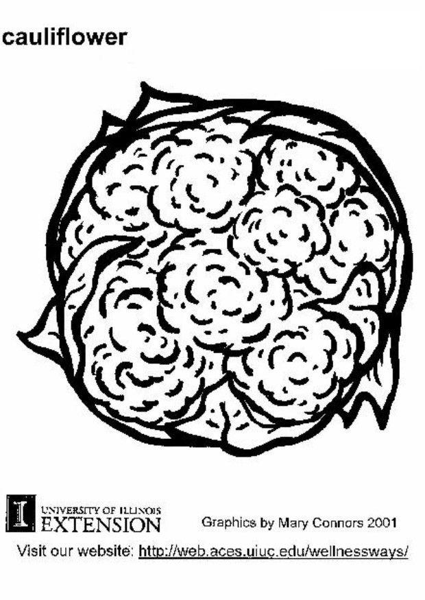 cavolfiore Disegno da colorare cavolfiore