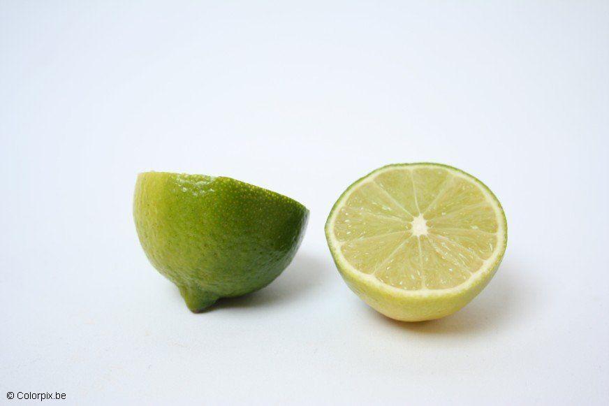 cedro Foto cedro