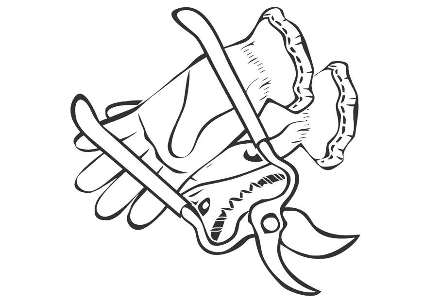 cesoia e guanti da giardinaggio Disegno da colorare cesoia e guanti da giardinaggio
