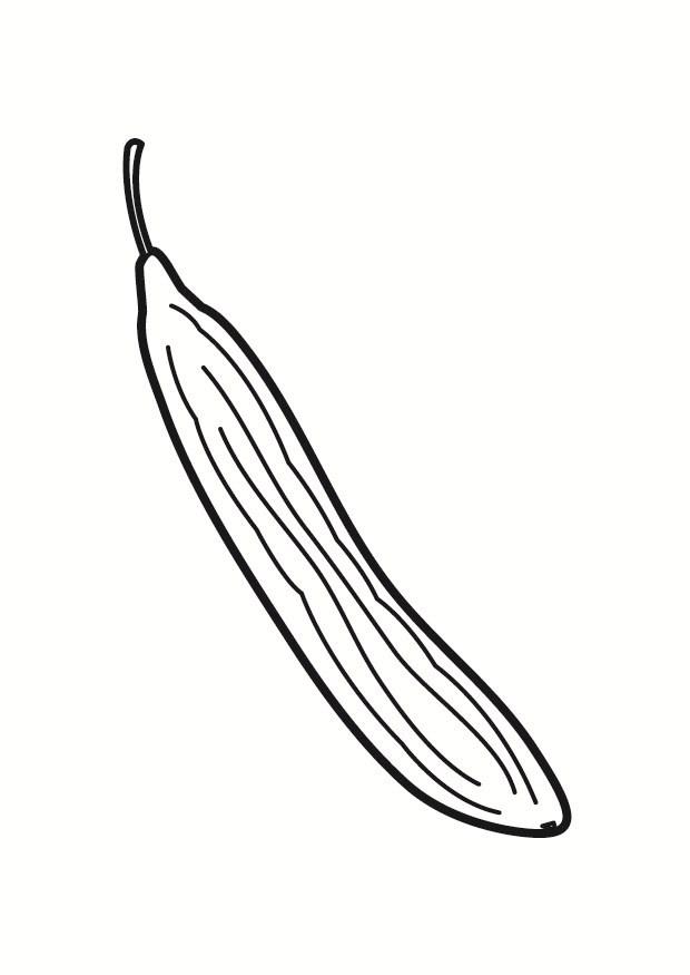 cetriolo Disegno da colorare cetriolo