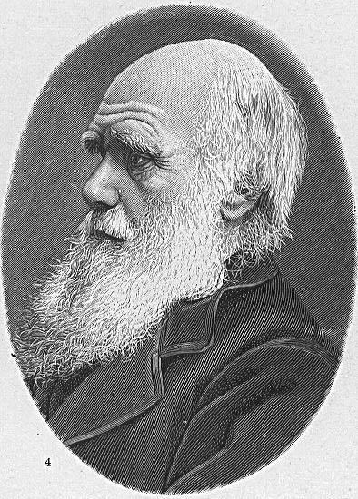 Disegno da colorare charles darwin