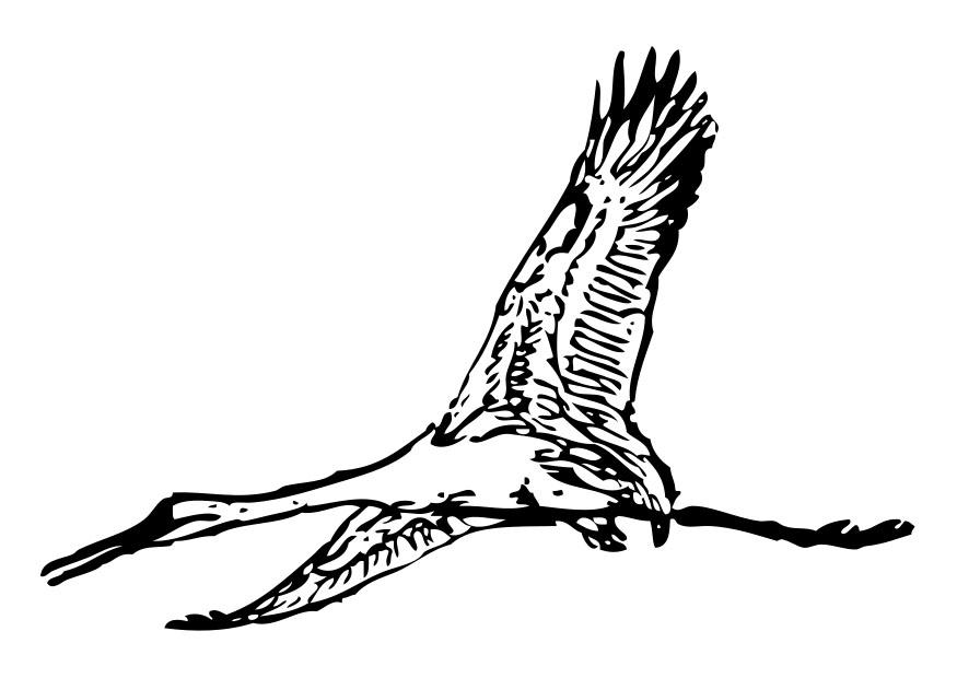 cicogna Disegno da colorare cicogna